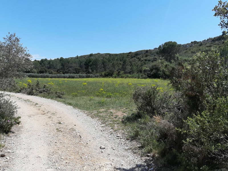 Rando Pélissanne - La Barben - Pélissanne