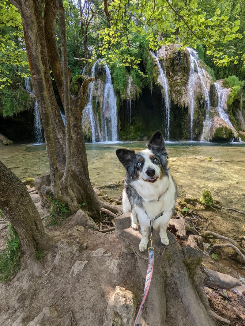 Cascades des Tufs - Les Planches-près-Arbois