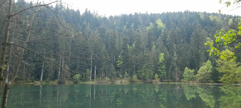 Petit tour du lac de la Maix à Vexaincourt - Vexaincourt