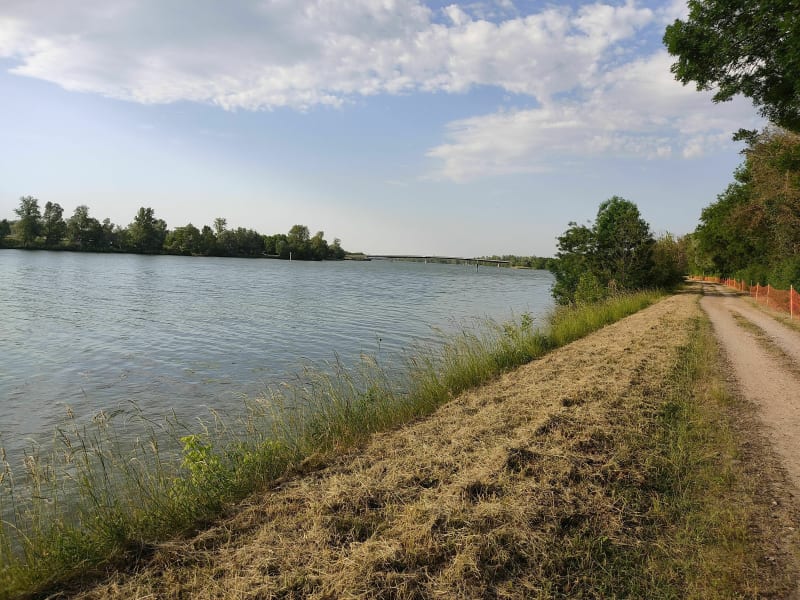 Rando VTT à Replonges - Replonges