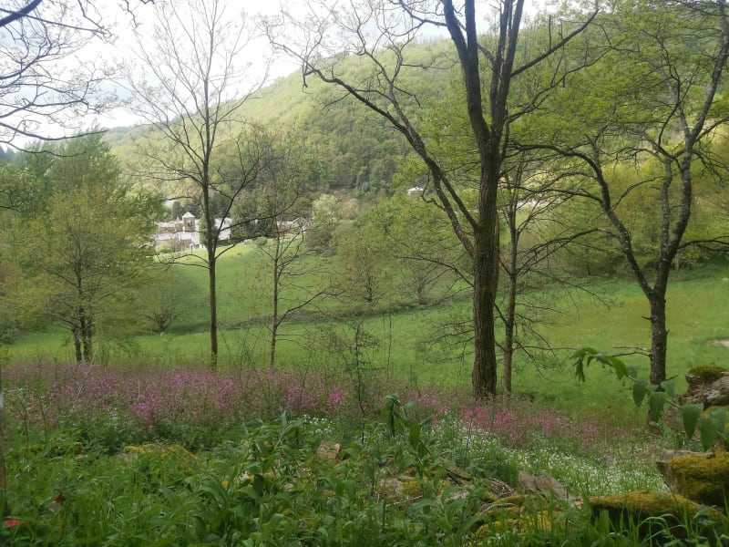 De l abbaye à la grange par les chemins forestiers - Calmont