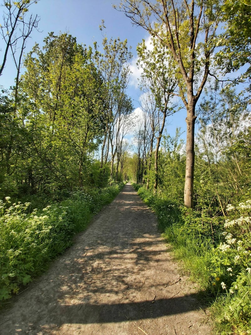 Boucle des Bonniers - Forest-sur-Marque