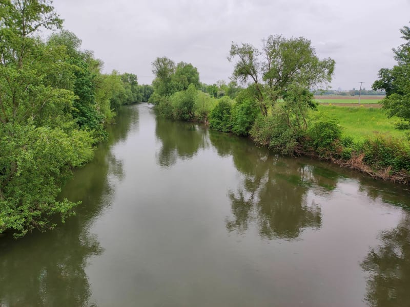 Balade le long de L'Ill      Haut-Rhin , Illzach/Sausheim - Baldersheim