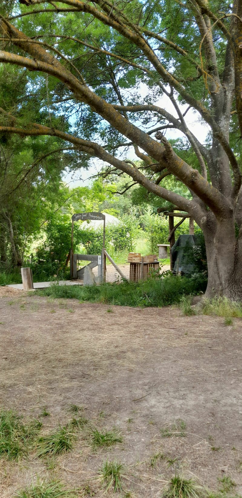 Ballade autour de simiane - Simiane-Collongue
