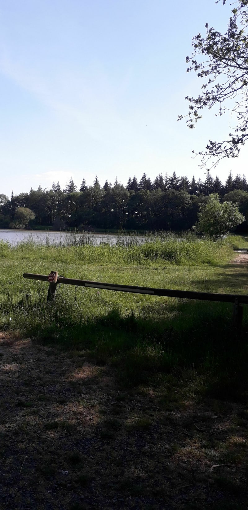 Sortie en foret - Erdre-en-Anjou