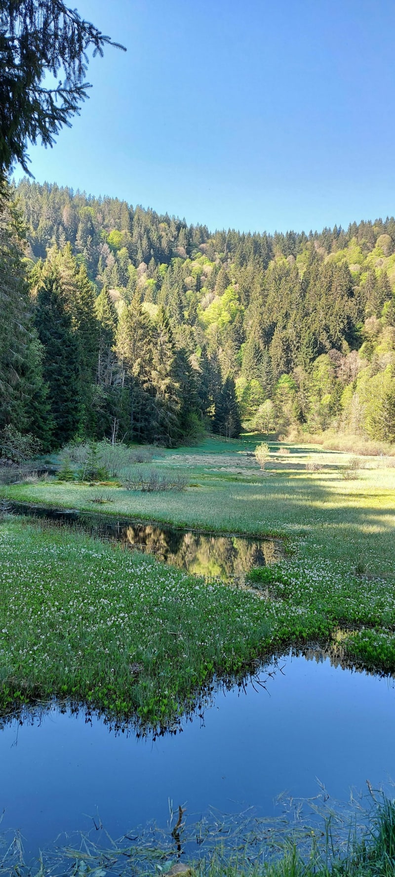 Étang du Devin - Orbey