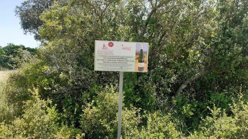 Entre garrigues et vignes - Montagnac