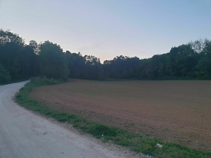 Promenade forestière entre Selongey et Crécey-sur-Tille - Selongey