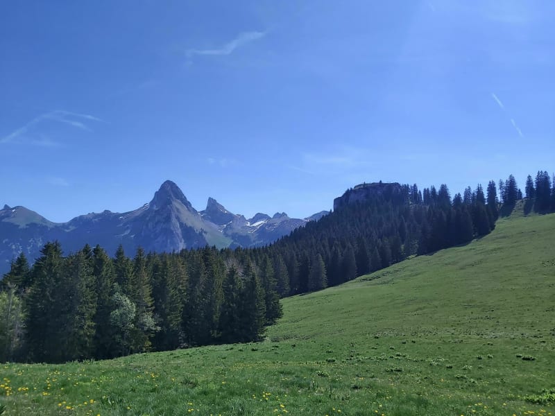 Mont Baron depuis Prébuza - Chevenoz