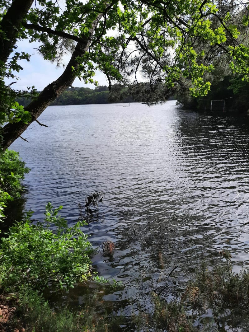 Etang du Ter - Lorient