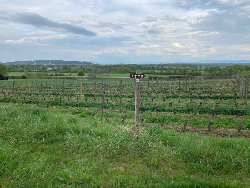 Pralong la colline - Pralong