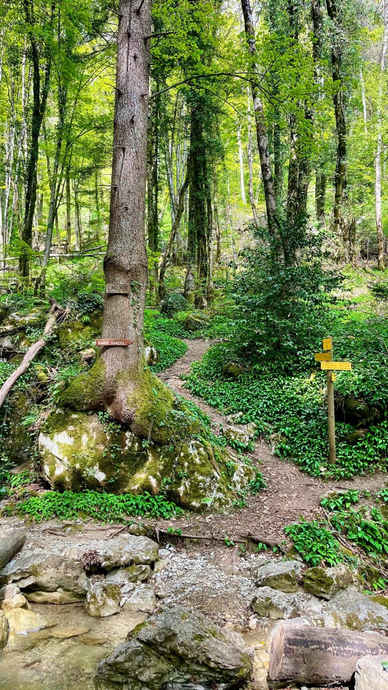 Cascade du Furet - Barraux