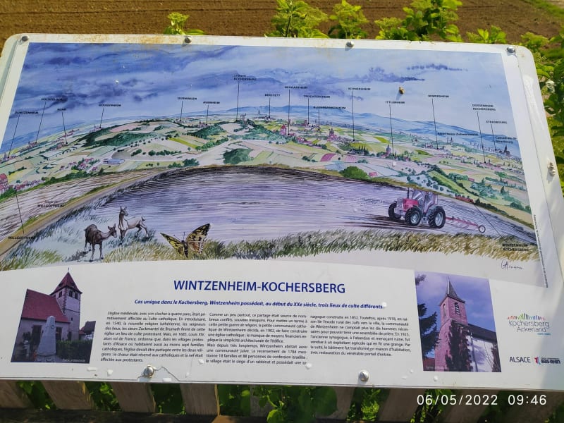 Petite Ballade en marche rapide dans le Kochersberg. - Schnersheim