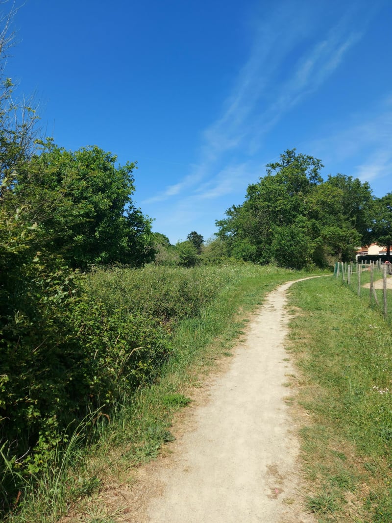 Le petit pont du Boivre - Saint-Père-en-Retz