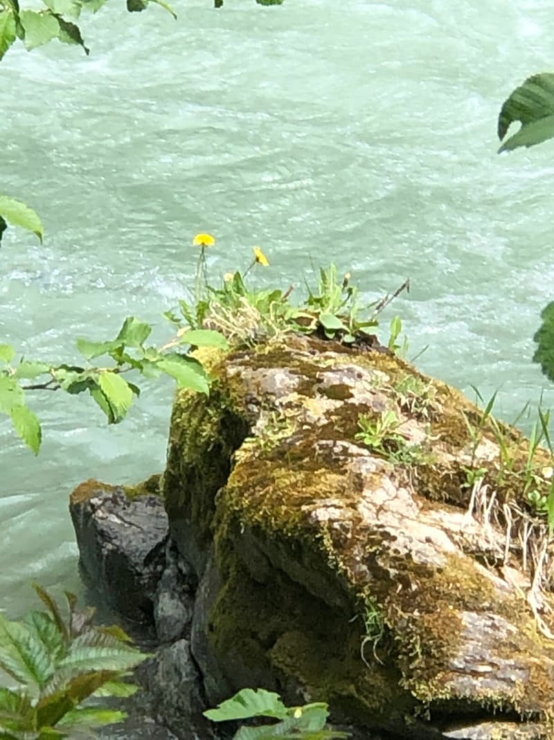 Balade le long du Doron ( Savoie) - Brides-les-Bains