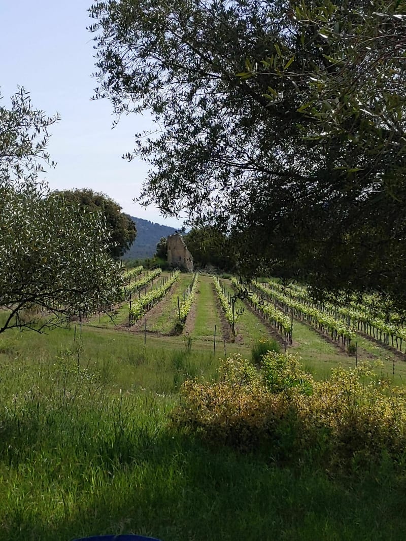 Autour de Tourris - Le Revest-les-Eaux