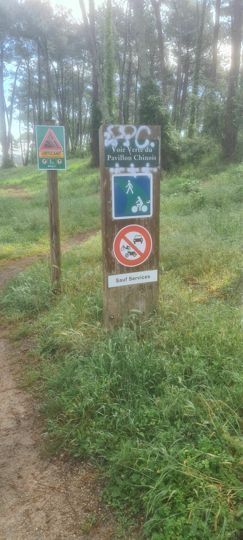 Balade dans la forêt du Pignada - Anglet