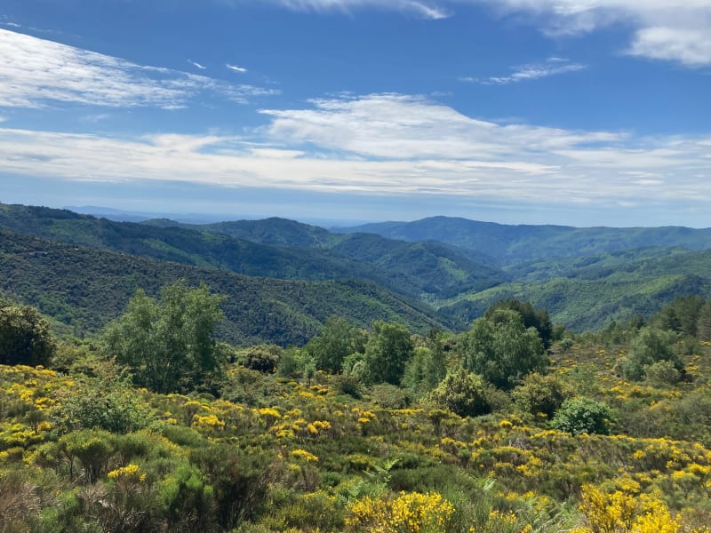 Sentier de l’Espinas, par monts et par vaux - Ventalon en Cévennes