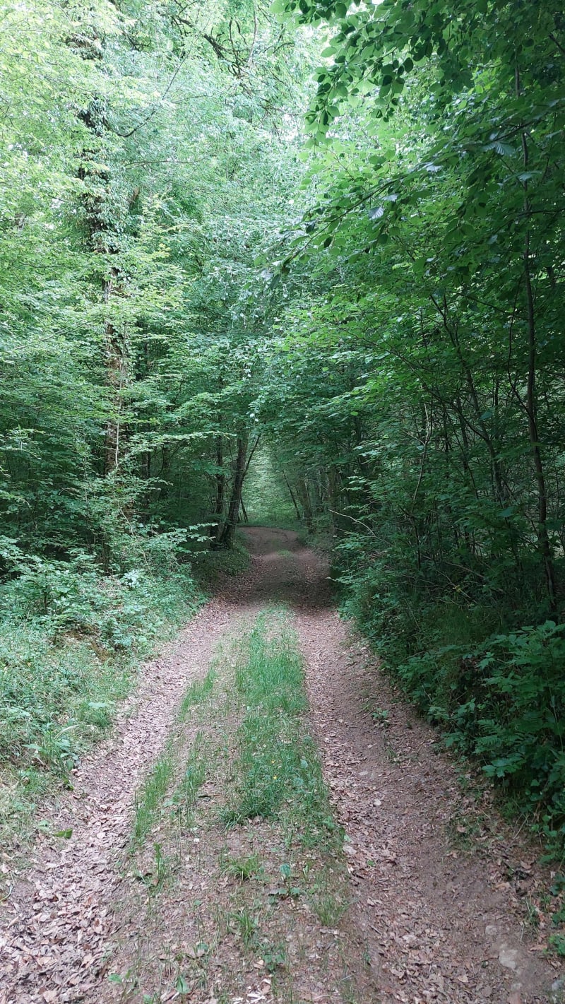 Visite autour de Fouchères aux Bois - Fouchères aux Bois