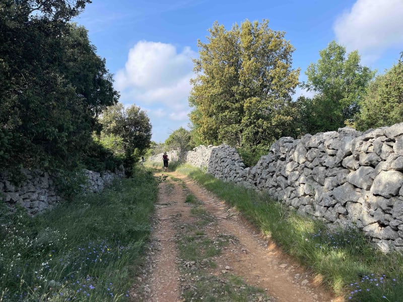 Balade à Labastide-de-Virac par la Combe de Virac - Vagnas