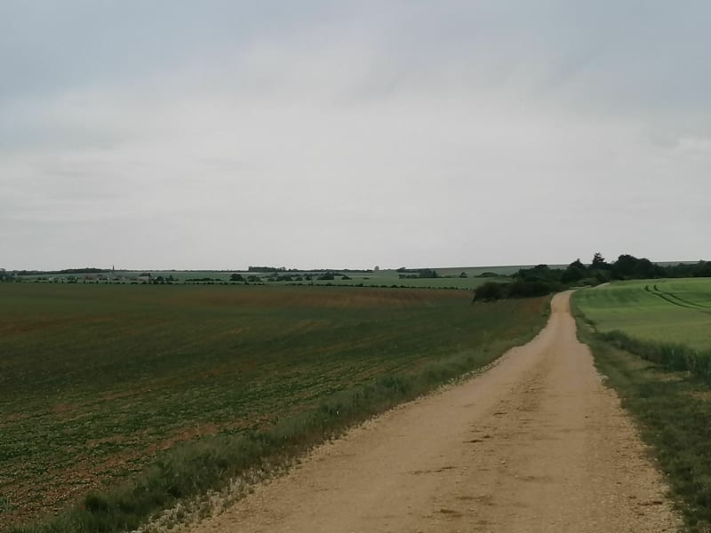 Petit tour de plaine à Chaignay - Chaignay