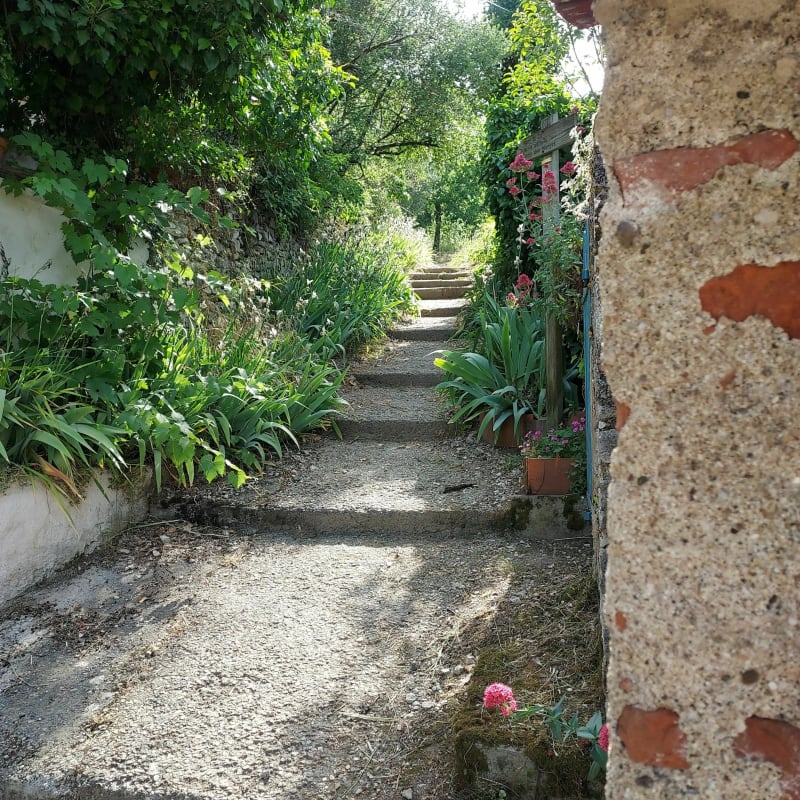 Promenade sur Le Mont Saint-Cyr - Cahors