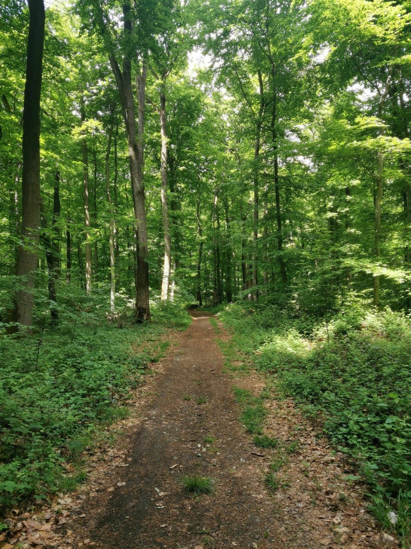Sortie VTT dans les bois de Beauvais - Beauvais