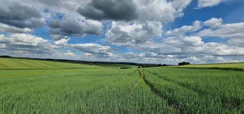 Promenade forêt champs Vivians-sur-Chiers - Viviers-sur-Chiers