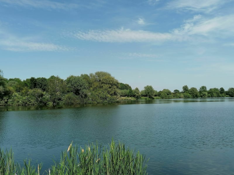 Lac et parc héron Villeneuve D'Ascq - Ronchin