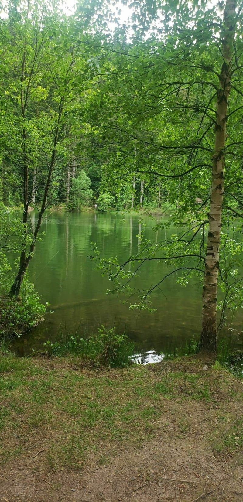 Entre Haut de Chaumes et Lac de la Maix - Grandfontaine