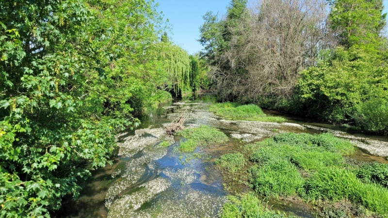 Balade au milieu des champs d'Aubigny en plaine - Aubigny-en-Plaine