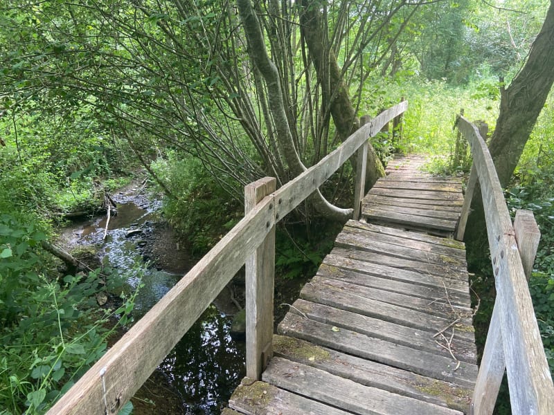 La petite boucle de la Viette - Saint-Pardoux-Soutiers
