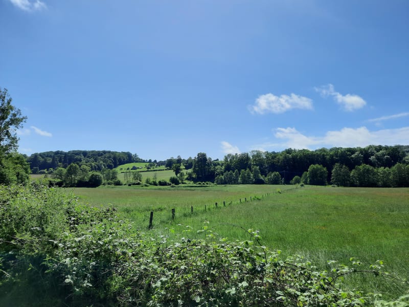 Charmes du Calvados et balade trépidante dans les bois - Moyaux