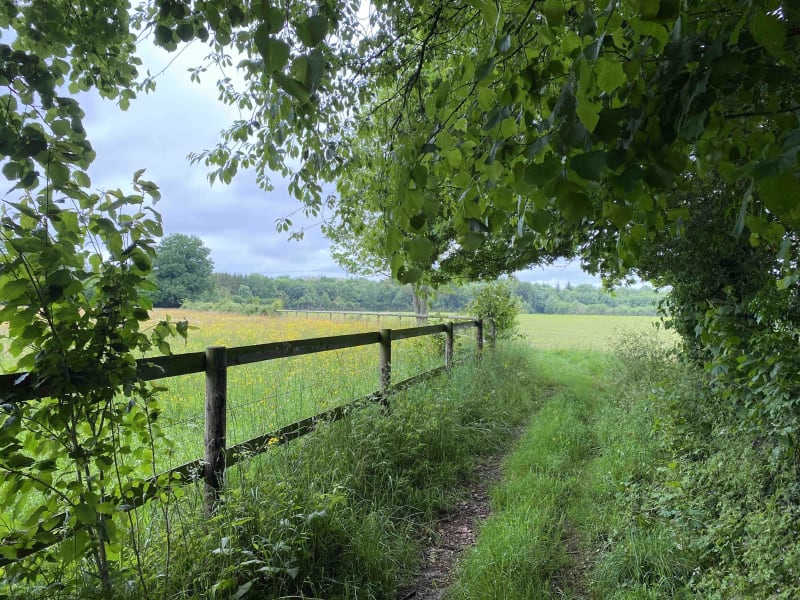 Ambiance champêtre au Pays d'Auge - Moyaux