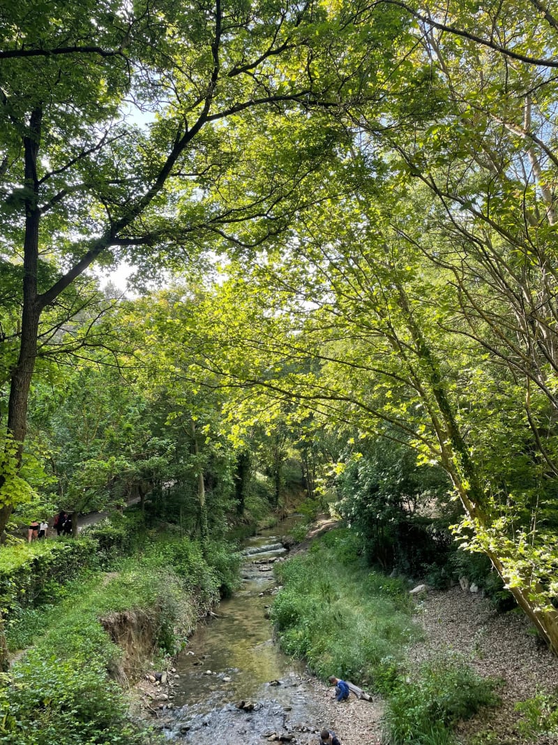 Sortie au parc de la Torse - Aix-en-Provence