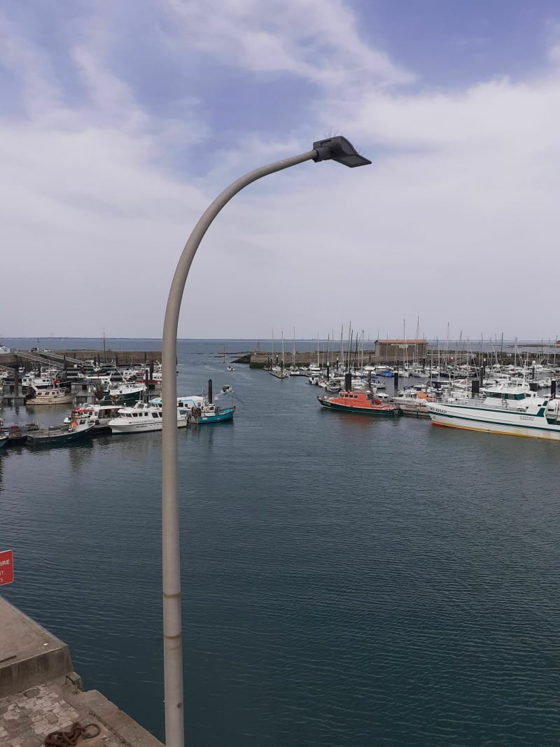 P'tite balade vers l'herbaudiere - Noirmoutier-en-l'Île