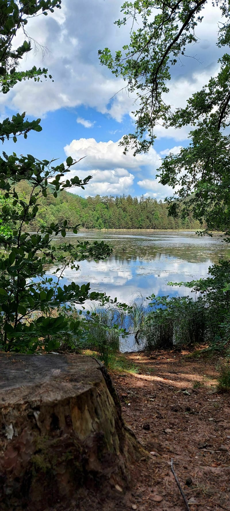 Randonnée en Pays de Hanau. - Philippsbourg