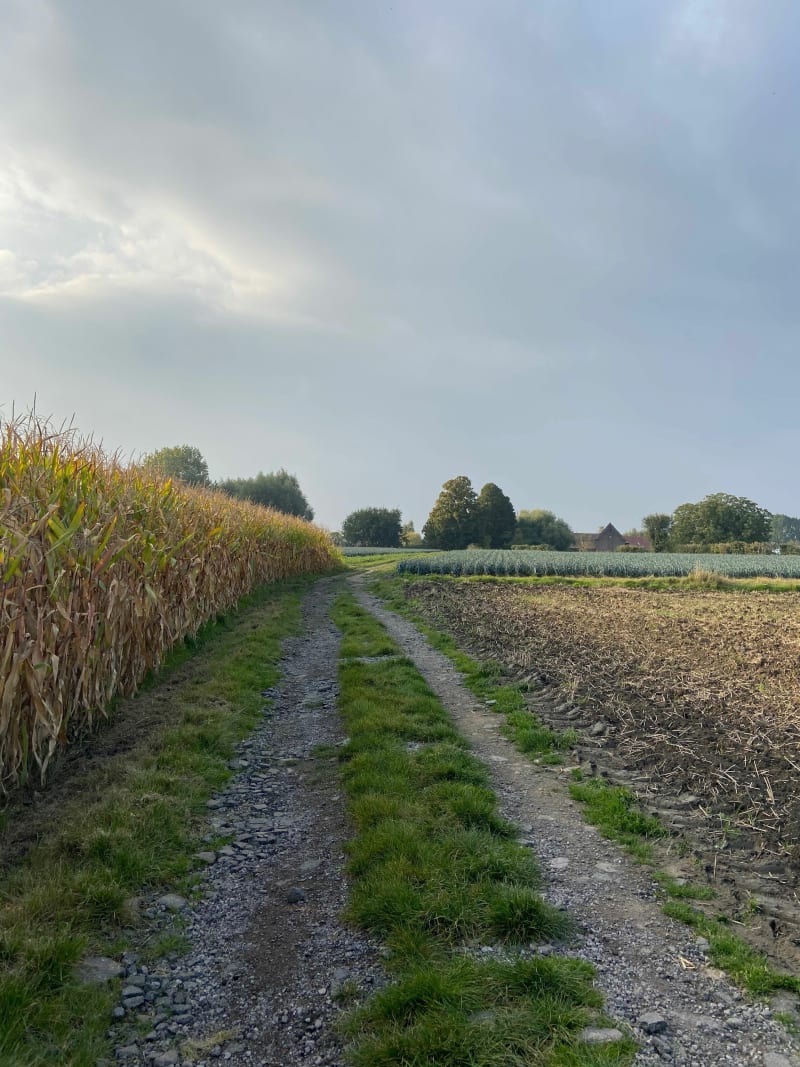 Balade en VTC dans la campagne du Nord - Bondues