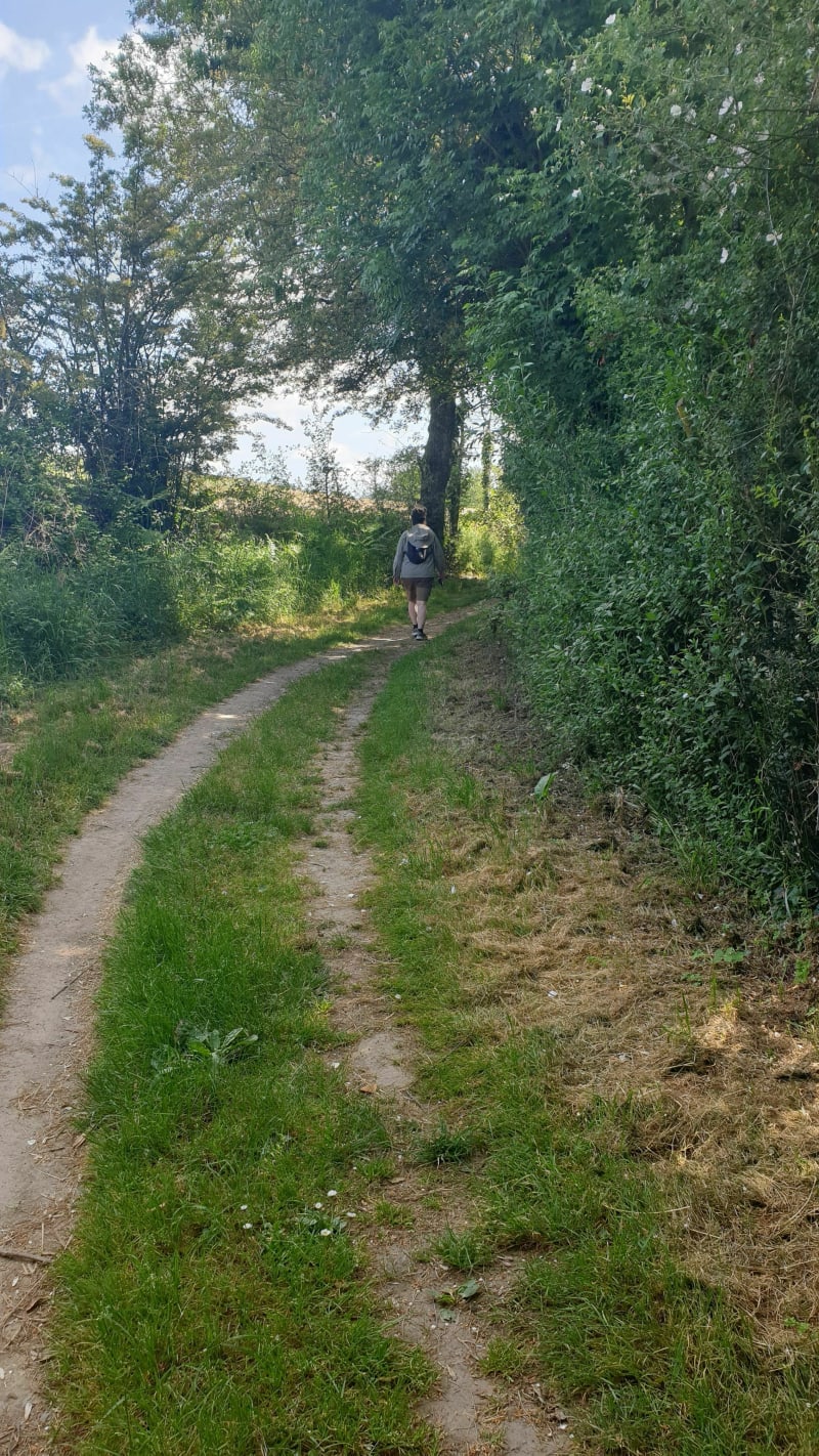 Les herbiers parcs et bois - Les Herbiers