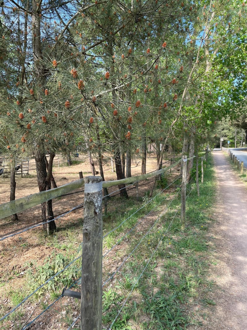Balade en vélo Les Conches - Longeville-sur-Mer
