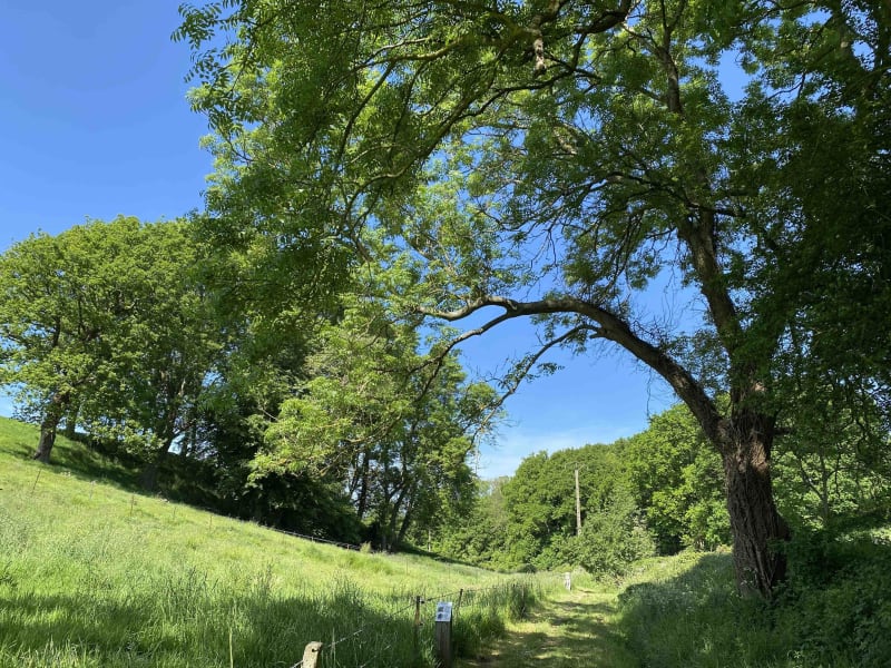 Charmes naturels de la campagne Cauchoise - Saint-Pierre-en-Port