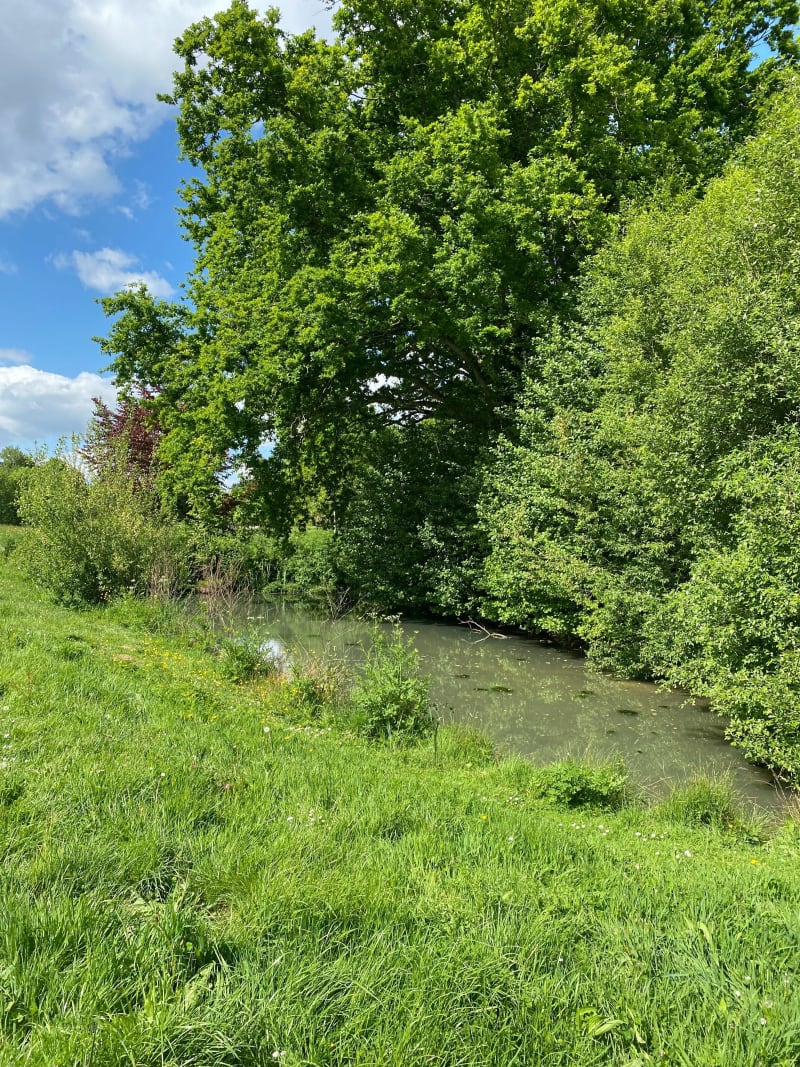 Belle balade du Parc Rivoli au Parc Alluchon - La Roche-sur-Yon