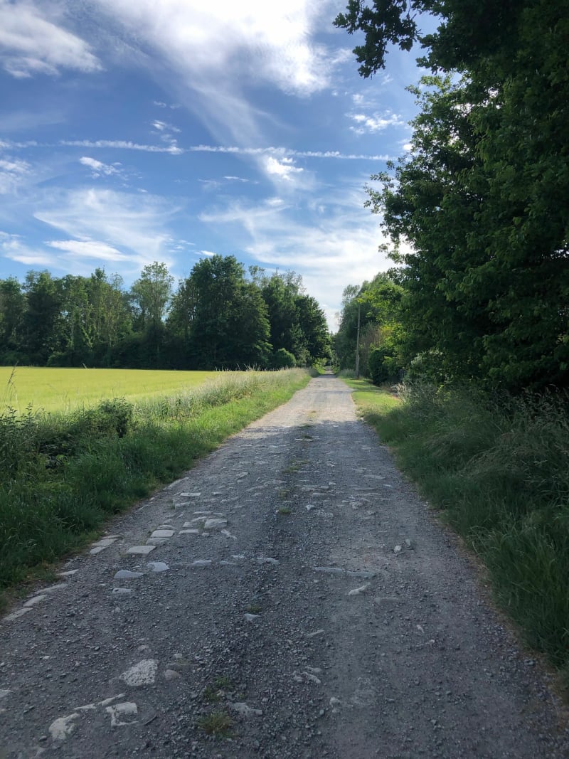 Le chemin vert - Laon
