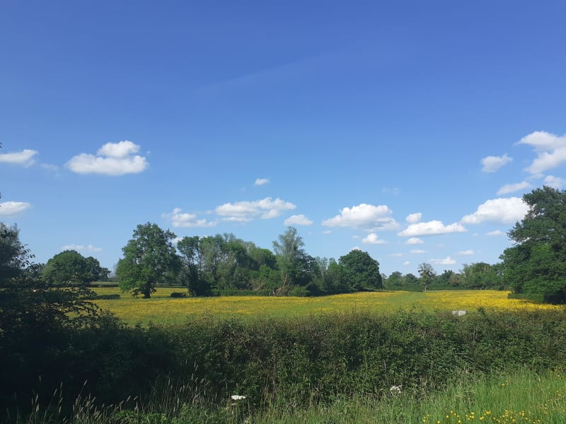 Virée à vélo entre hameaux et étangs préservés - Arnay-le-Duc