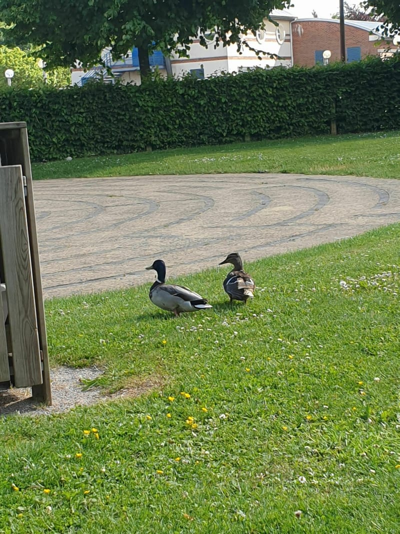 Balade à vélo le long de la scarpe - Saint-Laurent-Blangy