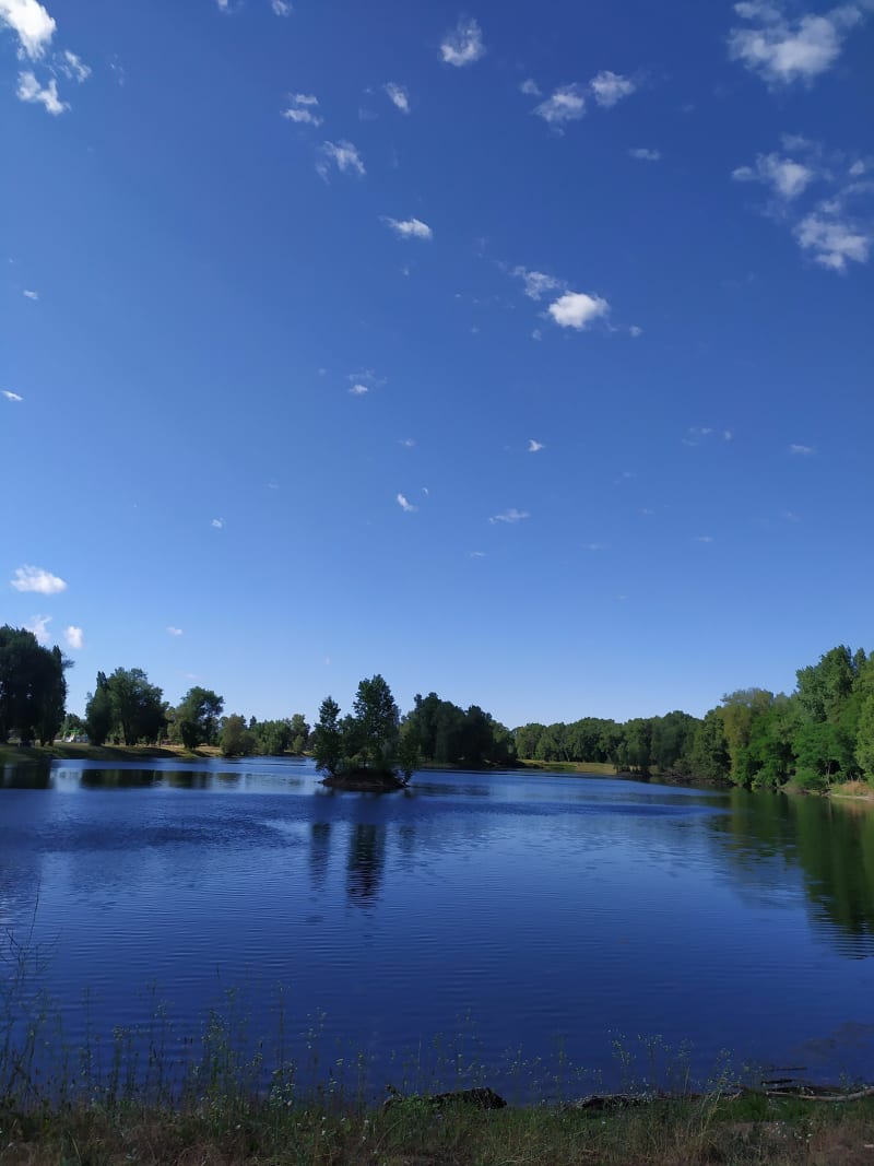 Balade apaisante au plan d'eau des Champins - Moulins