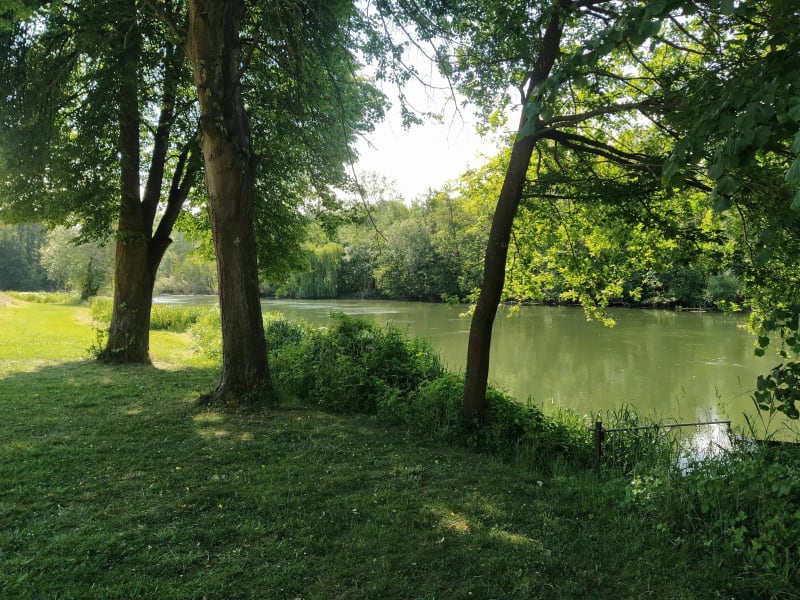 Balade au bord de l'eau - La Wantzenau