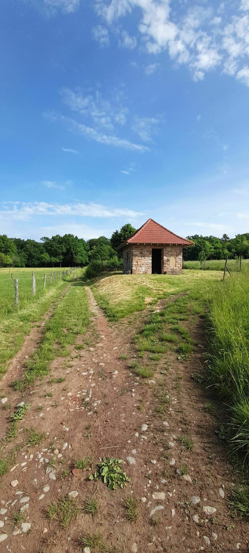 PETITS SENTIERS ENTRE PREUSCHDORF ET LAMPERTSLOCH - Preuschdorf