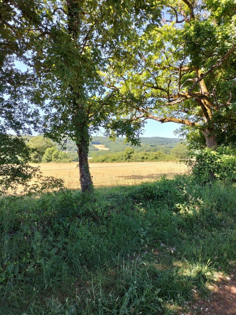 Bertholène Laissac - Bertholène