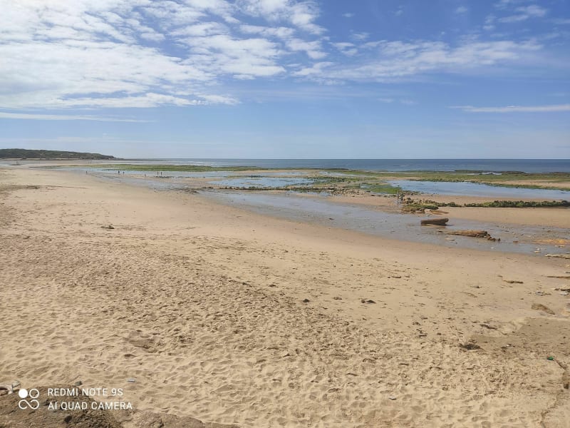 Entre plage, marais, et forêt - Port Bourgenay
